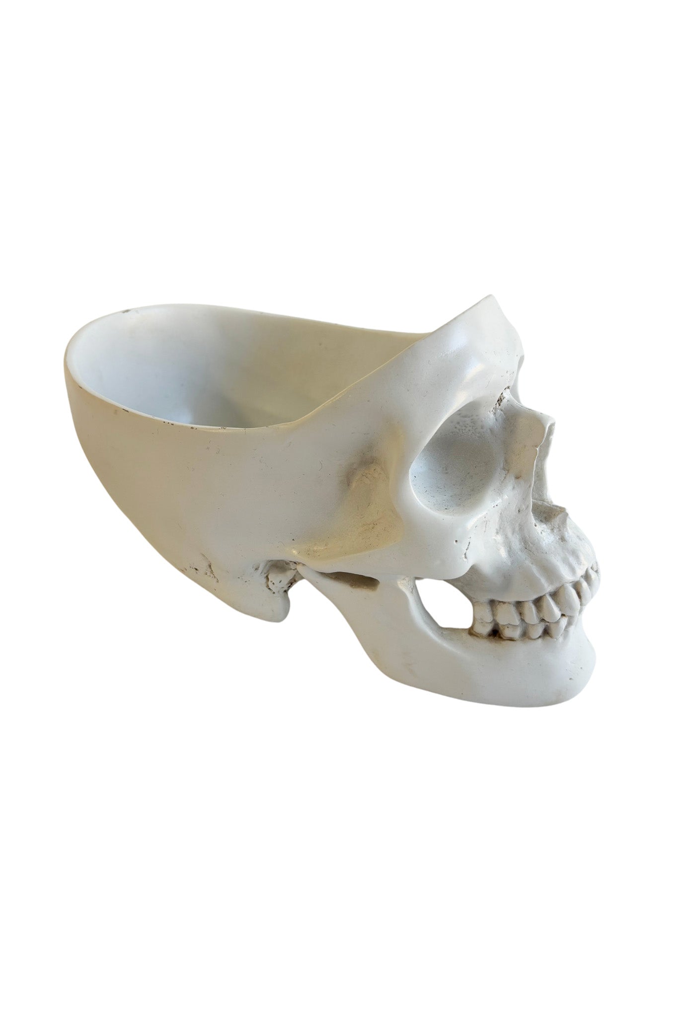 Extremely realistic skull bowl