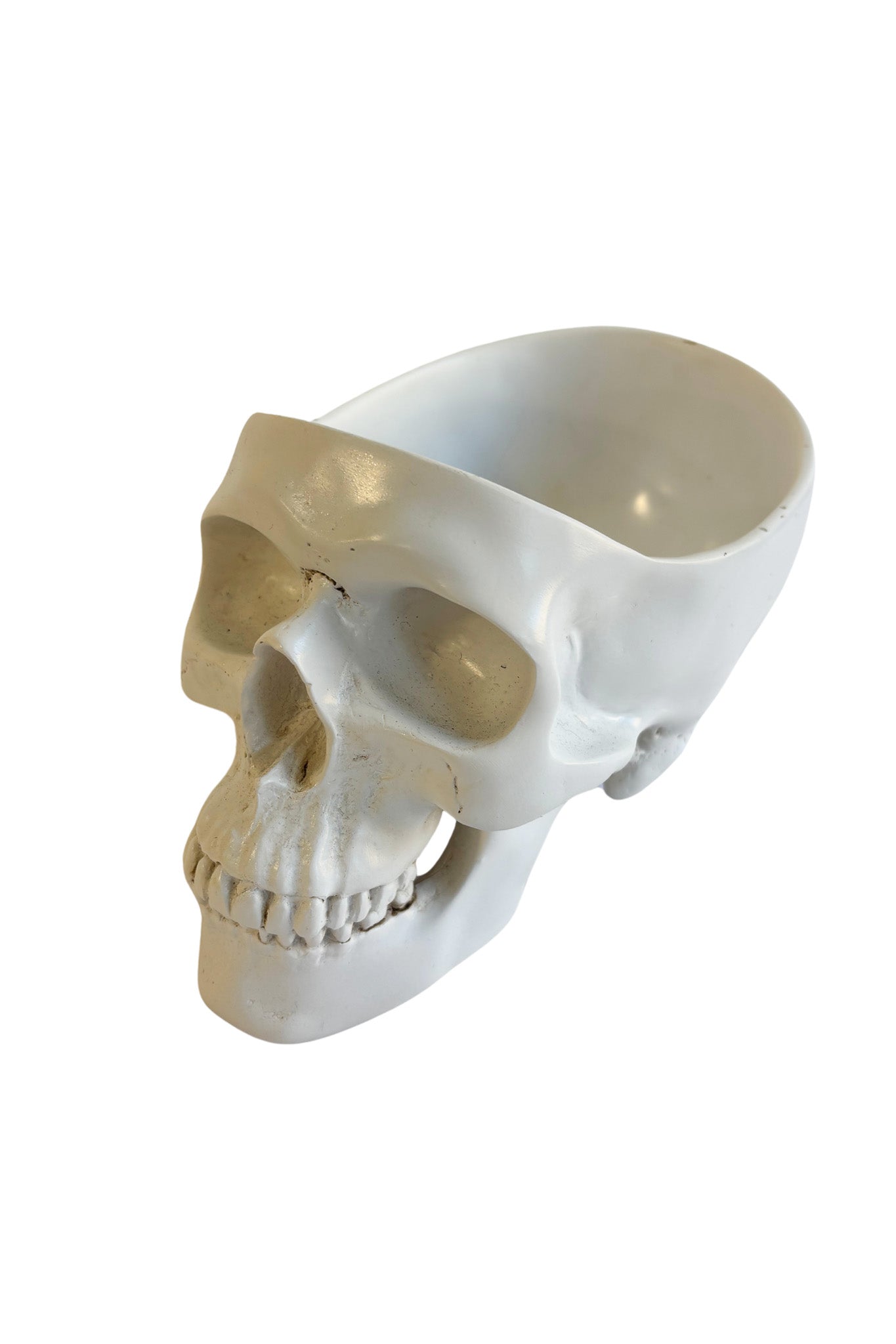 Extremely realistic skull bowl