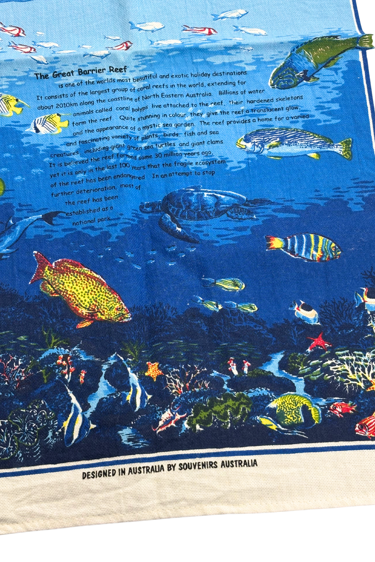 Great Barrier Reef tea towel