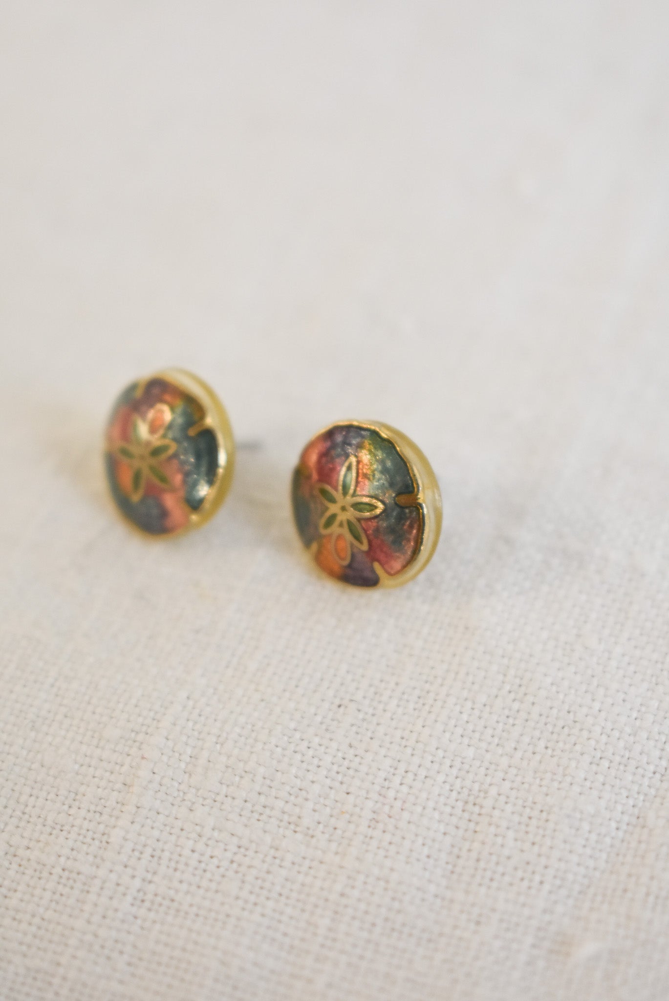 Rainbow sand dollar studs