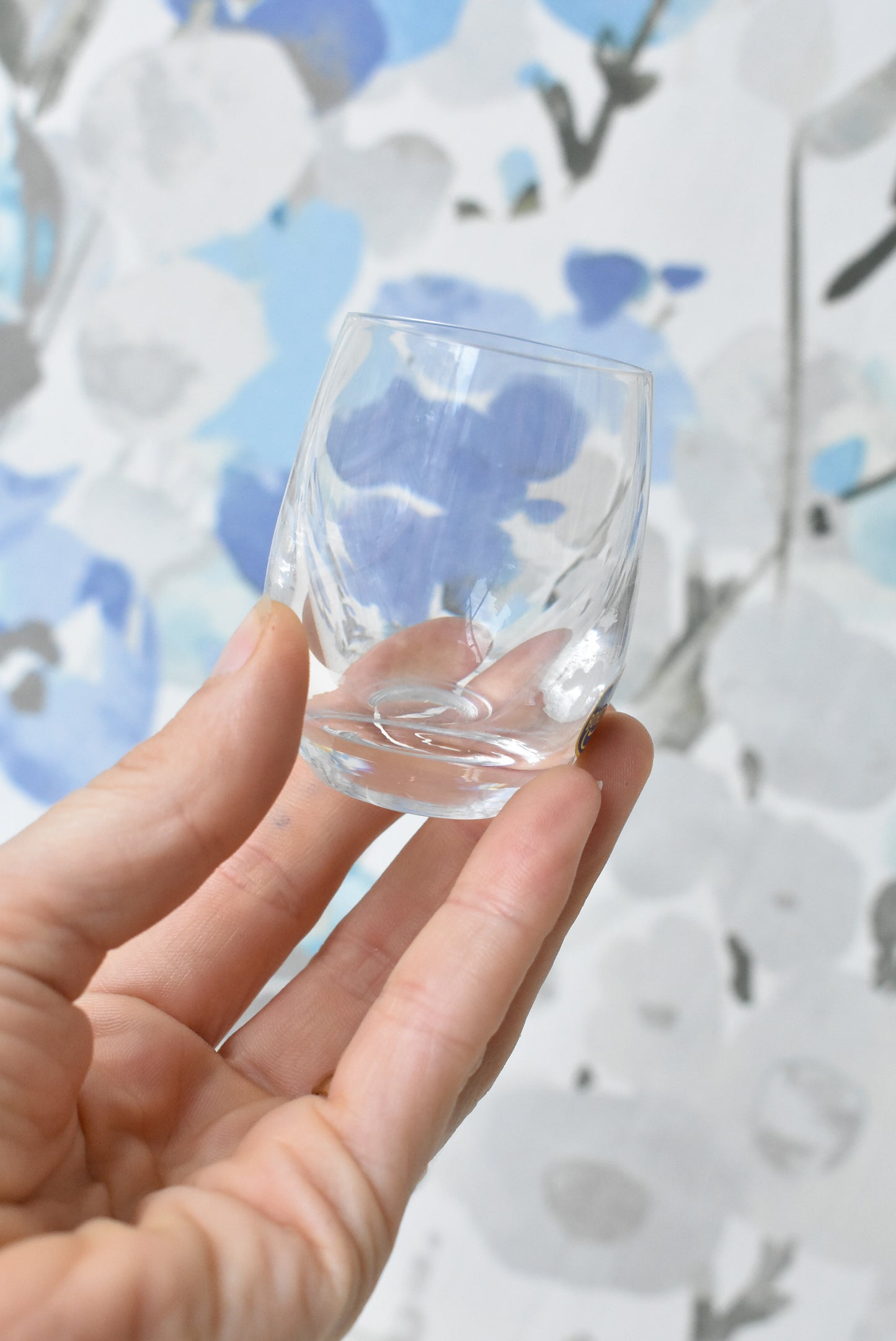 Bohemia blown glass 6 x 60mL Club tumblers