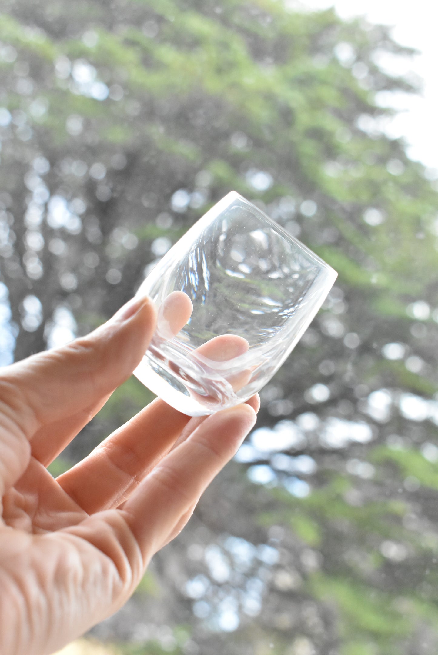 Bohemia blown glass 6 x 60mL Club tumblers