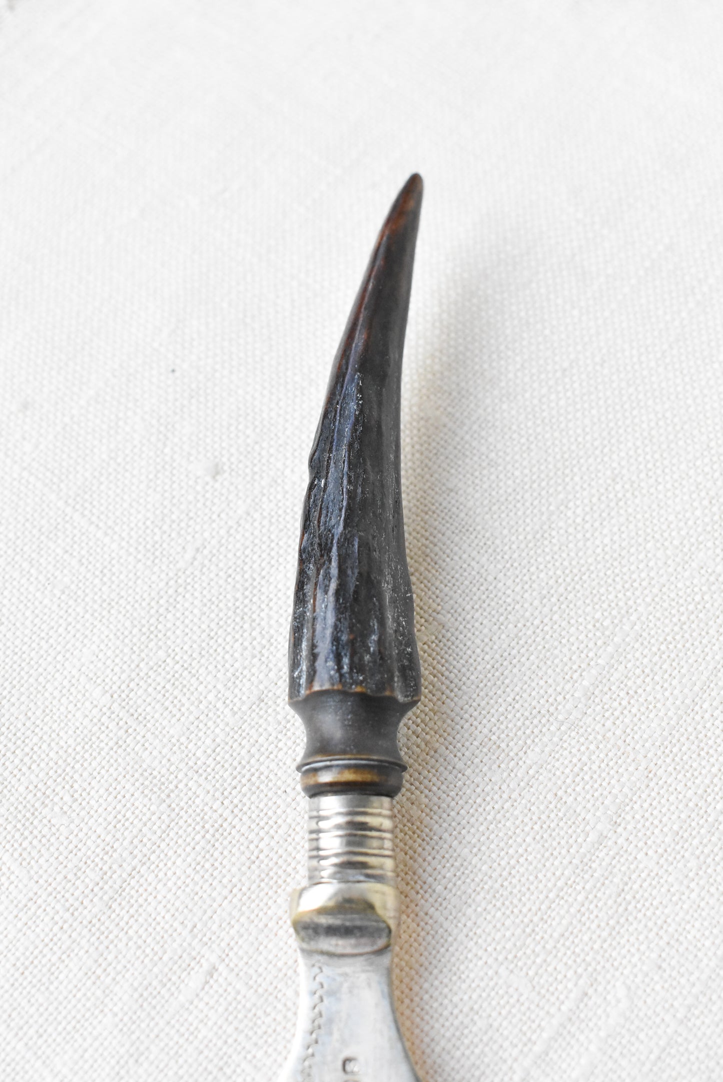 1907 NZ exhibition souvenir