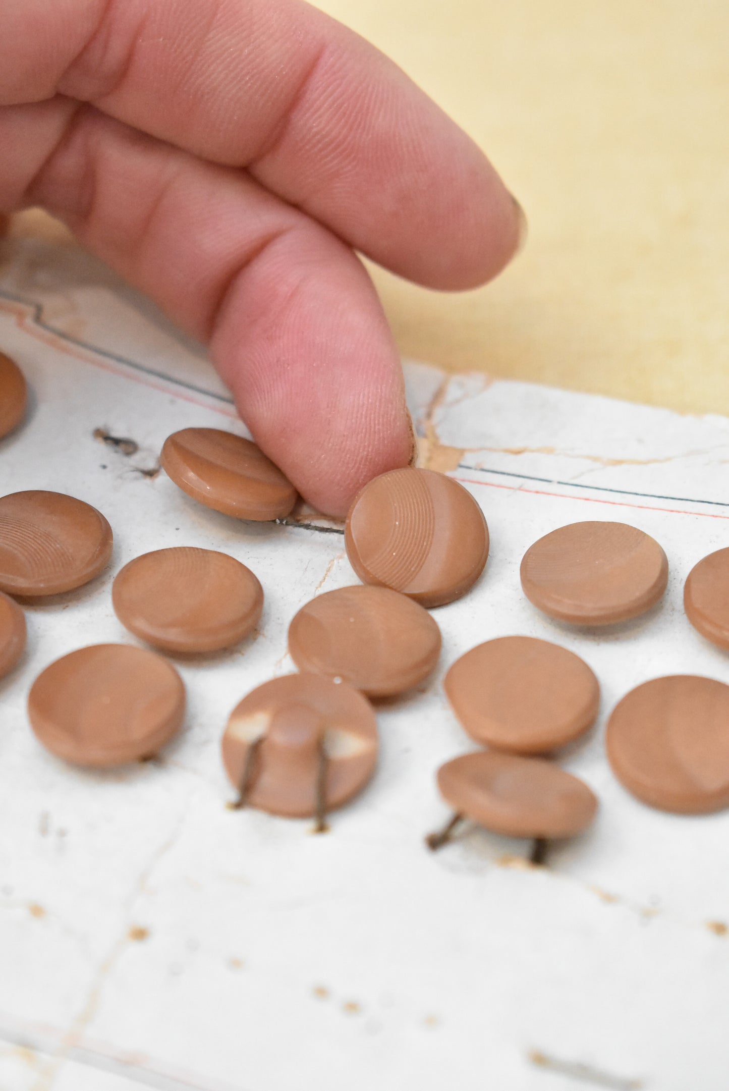 Vintage 16 light brown plastic buttons