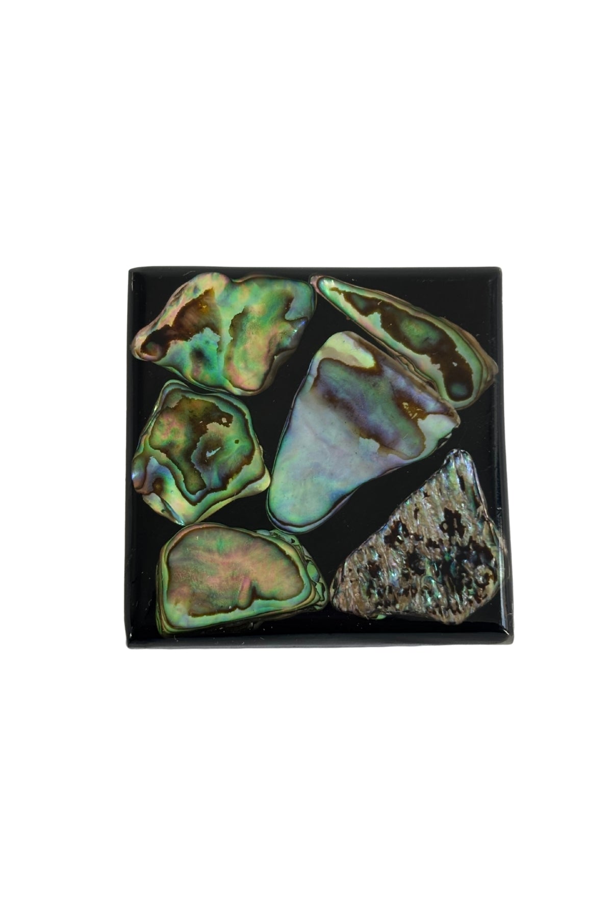 Paua shell trinket box NZ made
