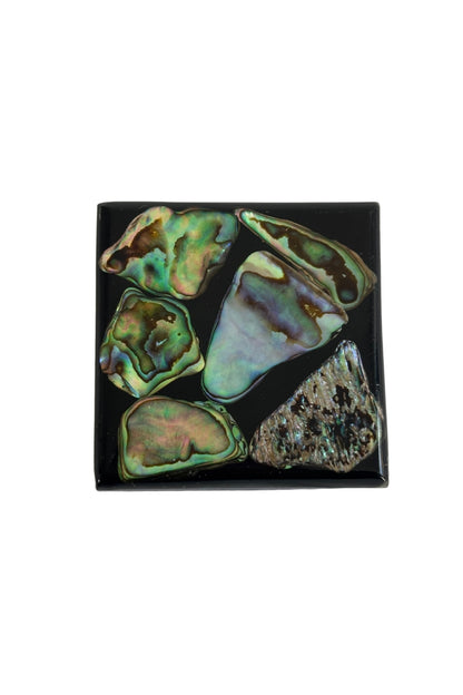 Paua shell trinket box NZ made