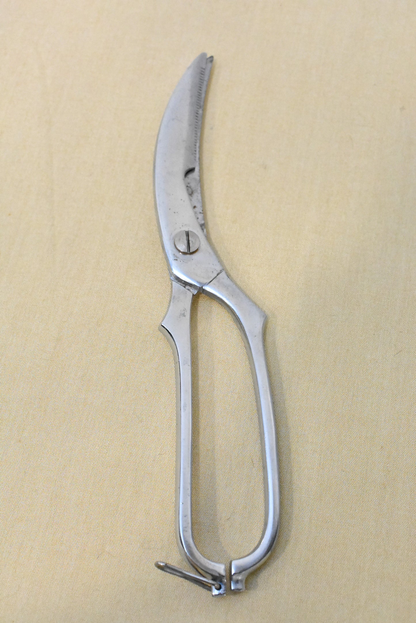 Vintage poultry shears