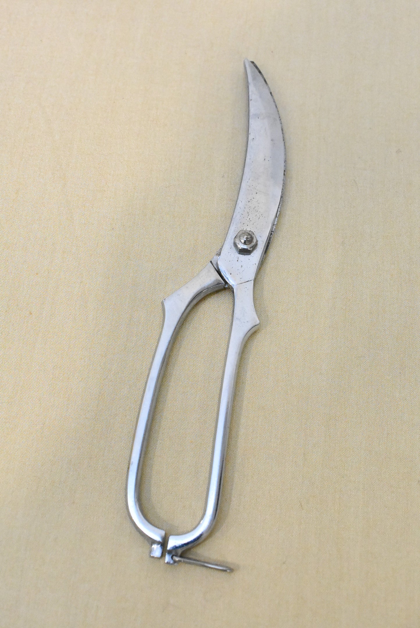 Vintage poultry shears