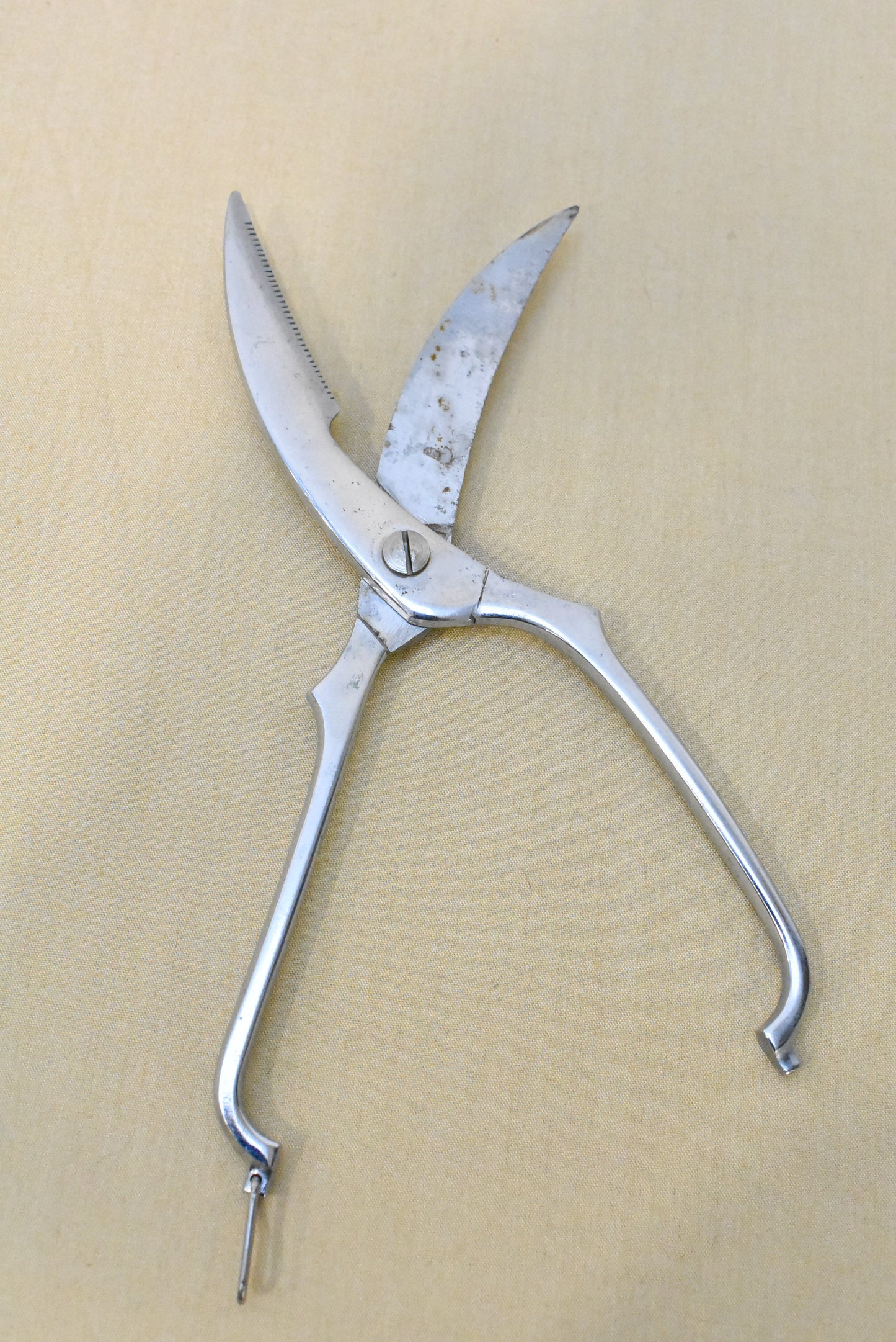 Vintage poultry shears