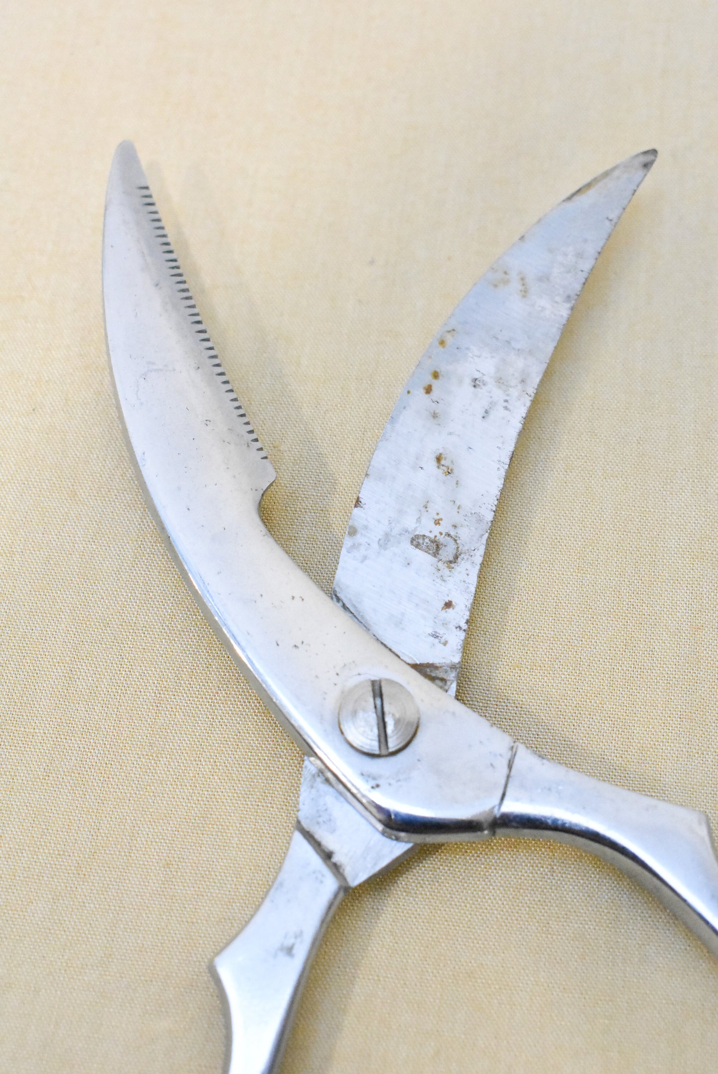 Vintage poultry shears