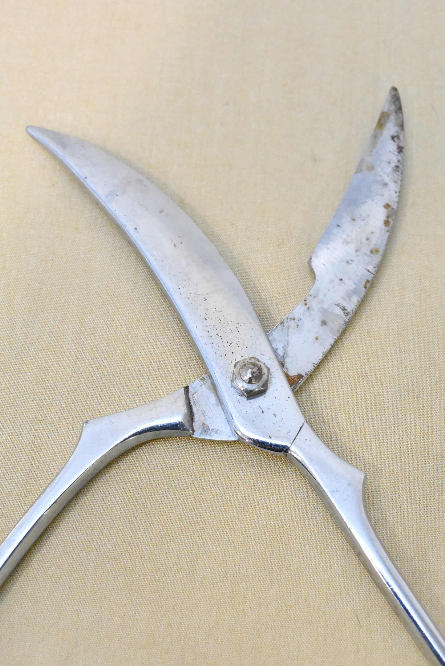 Vintage poultry shears