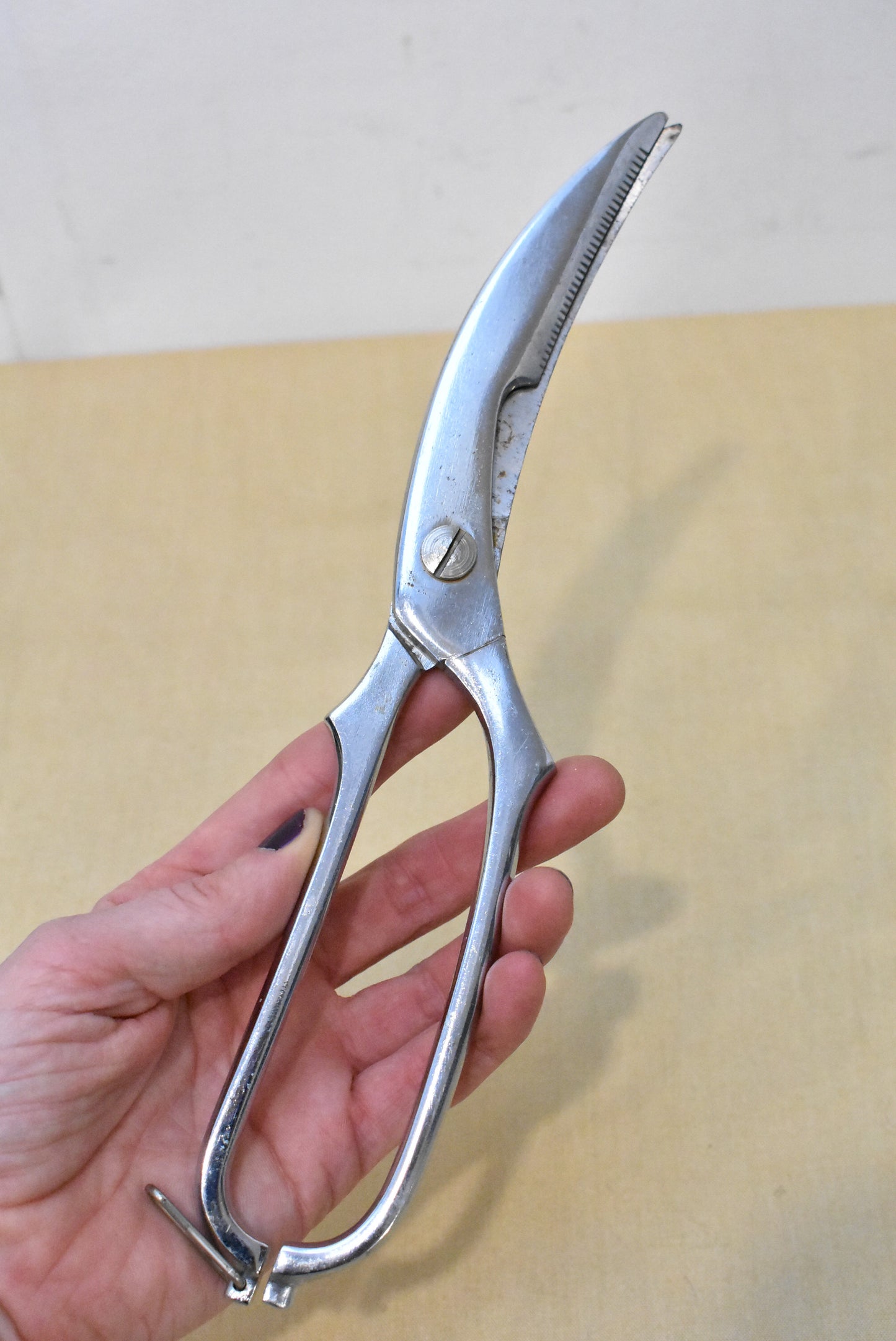 Vintage poultry shears