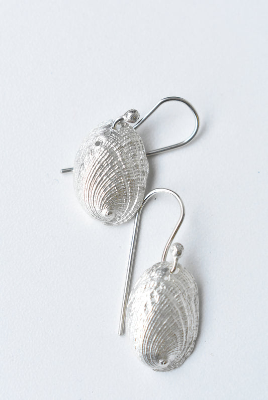 Bob Wyber 925 silver paua hooked earrings