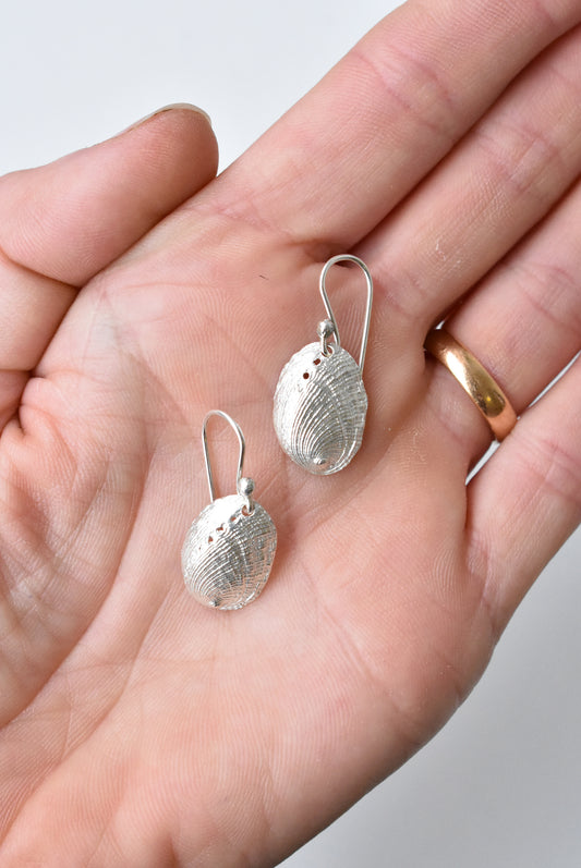 Bob Wyber 925 silver paua hooked earrings