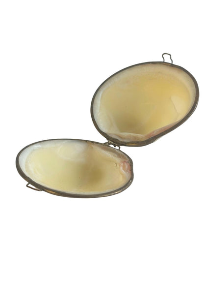 Vintage mother of pearl clam natural seashell trinket box