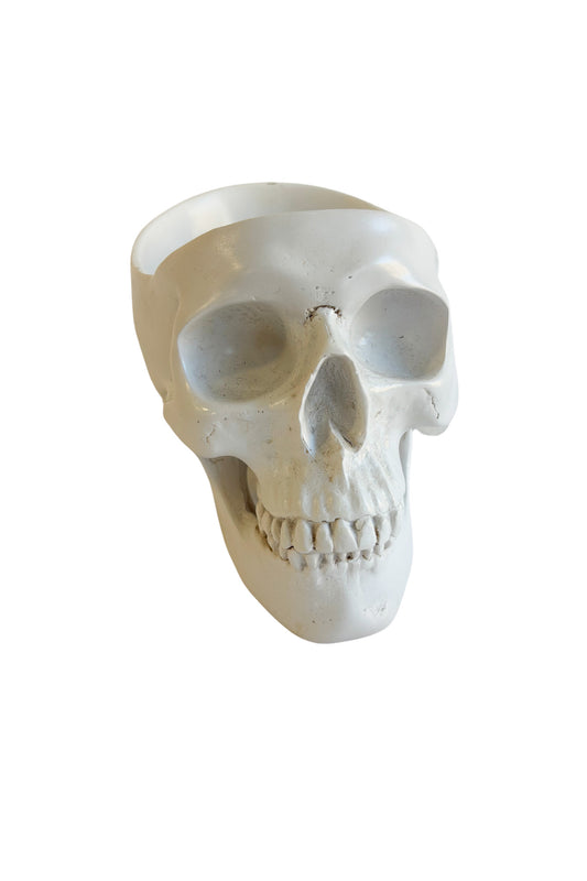 Extremely realistic skull bowl