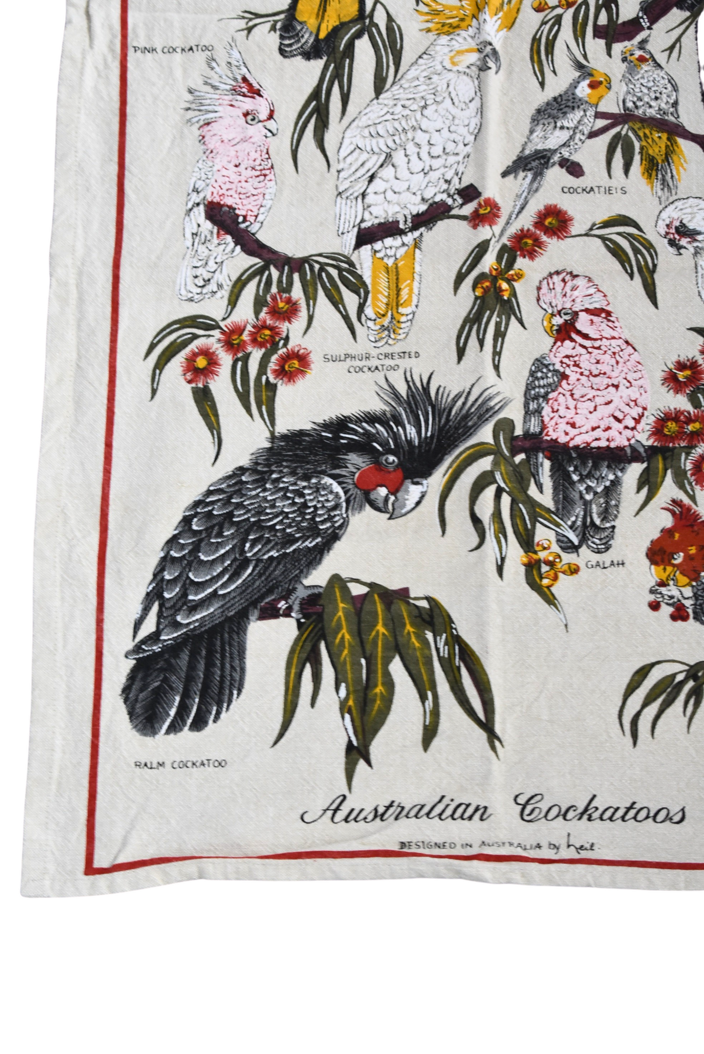 Aussie Blue Kitchen Cockatoo cotton tea towel