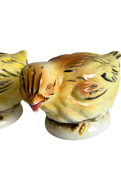 Baby Chicks salt + pepper shakers