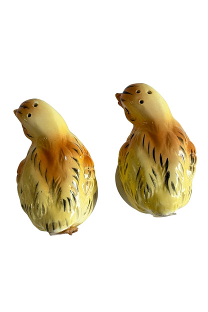 Baby Chicks salt + pepper shakers