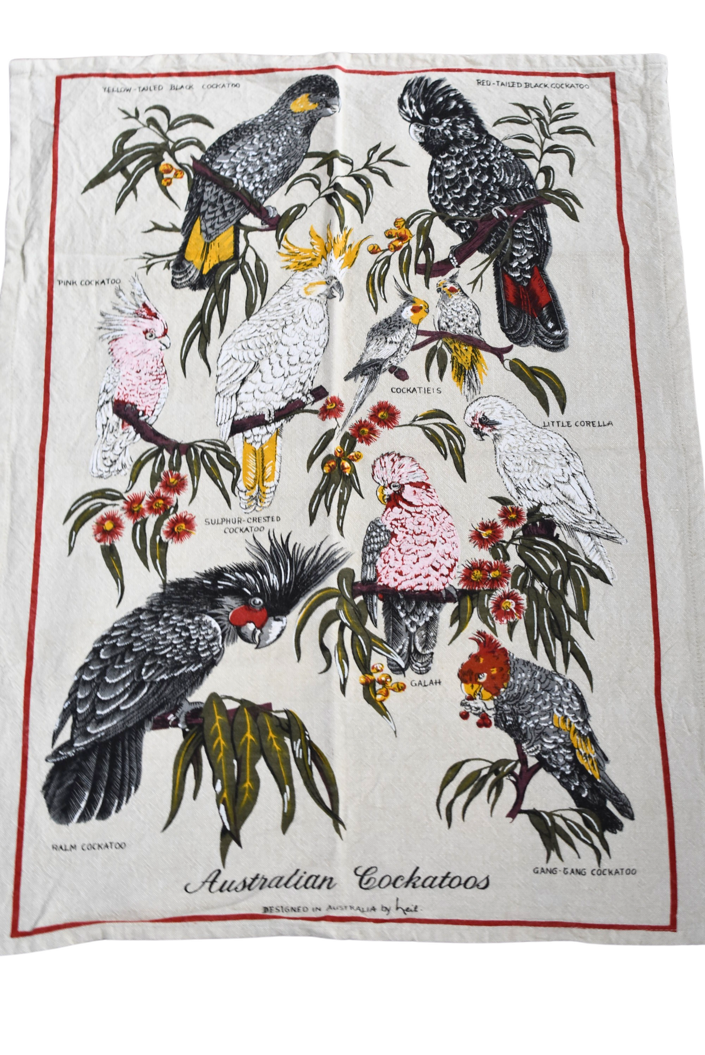 Aussie Blue Kitchen Cockatoo cotton tea towel