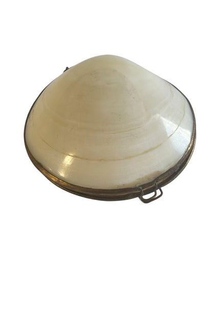 Vintage mother of pearl clam natural seashell trinket box