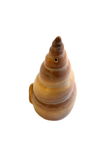 Vintage Carlton Ware seashell salt + pepper set (missing one)