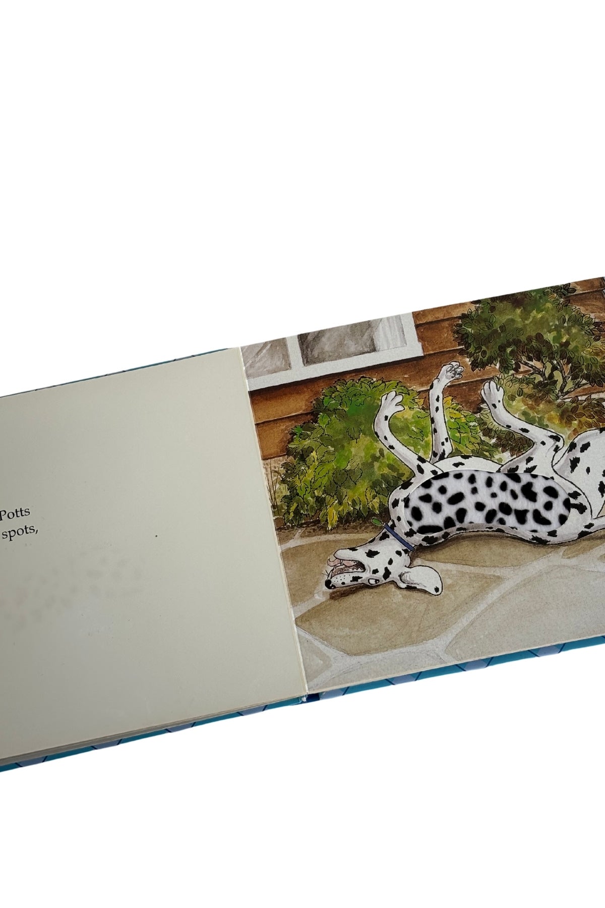 Hairy Maclary + Friends a touch and feel book