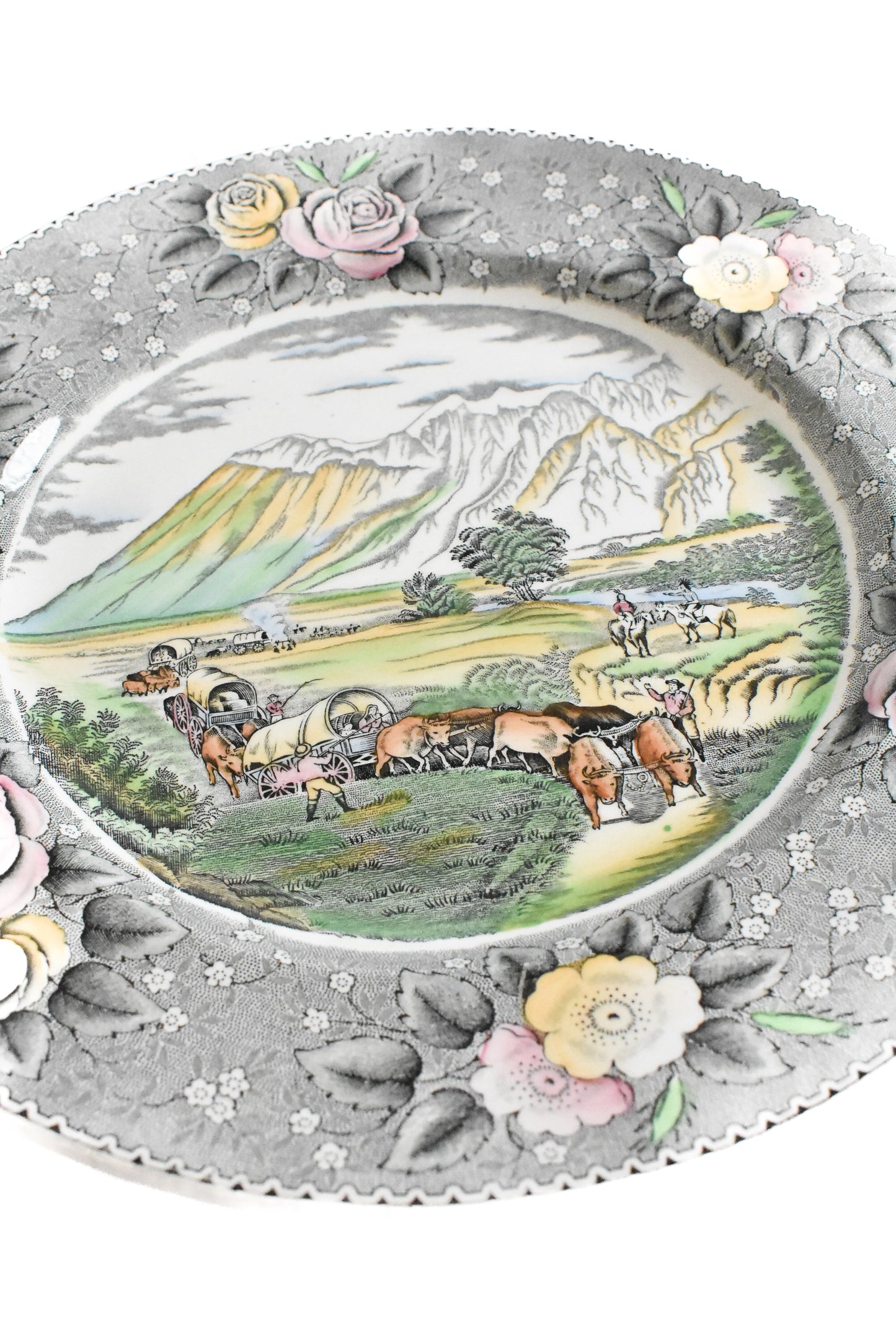 Rare collectable plate "The Rocky Mountains" by Adams