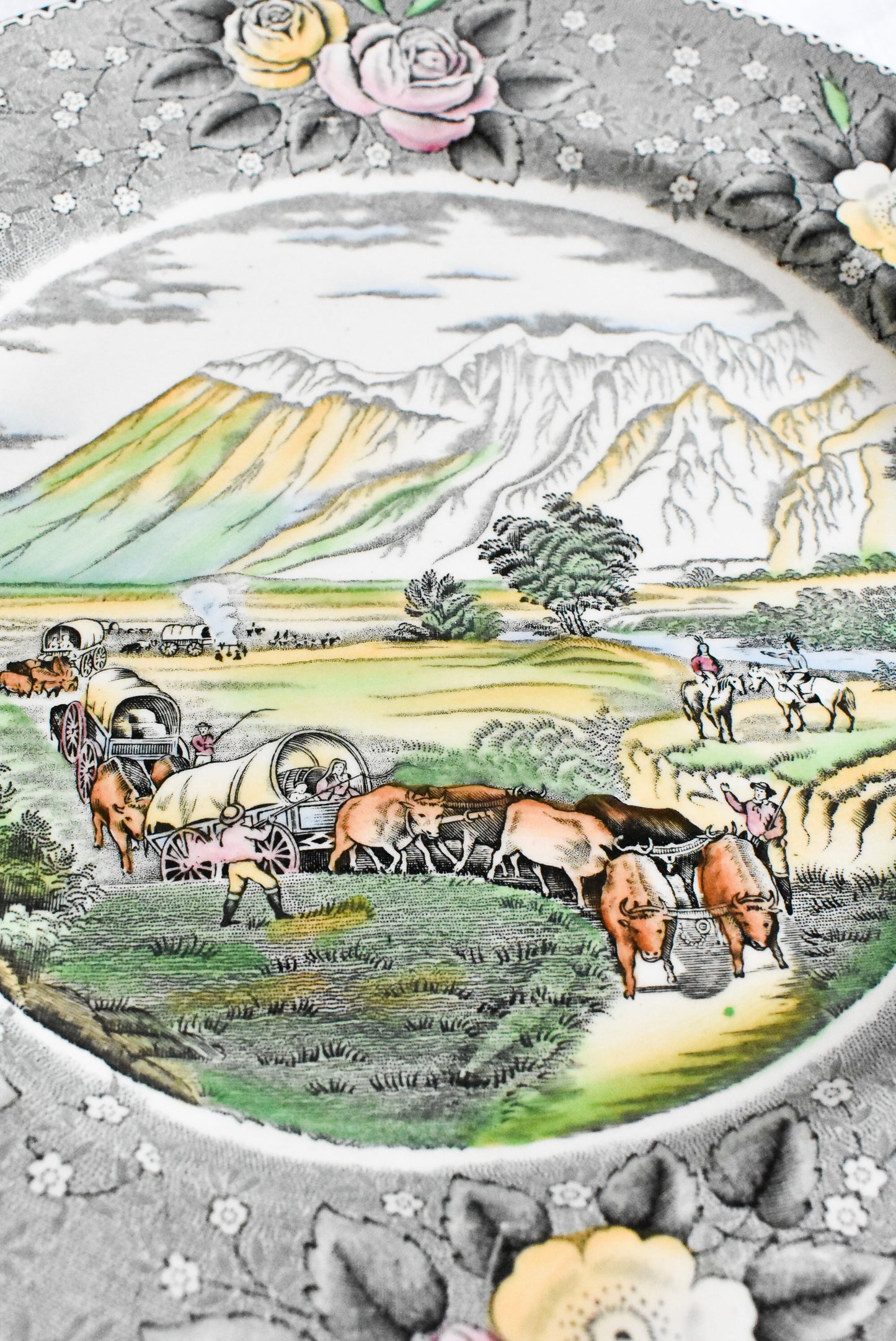 Rare collectable plate "The Rocky Mountains" by Adams