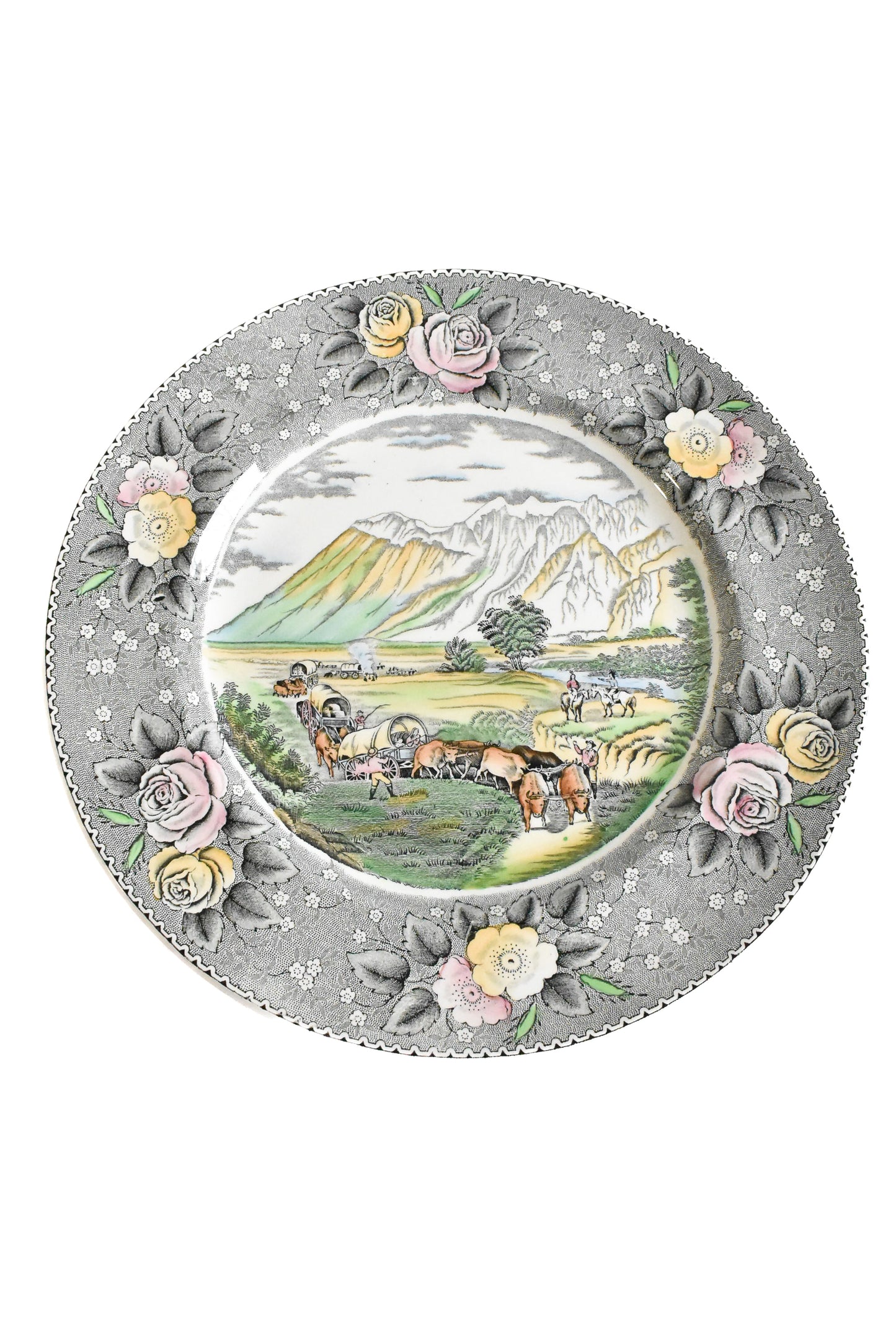 Rare collectable plate "The Rocky Mountains" by Adams