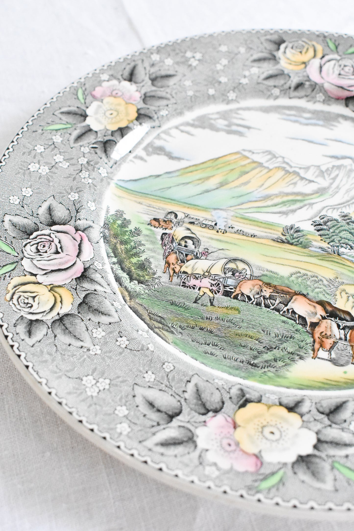 Rare collectable plate "The Rocky Mountains" by Adams