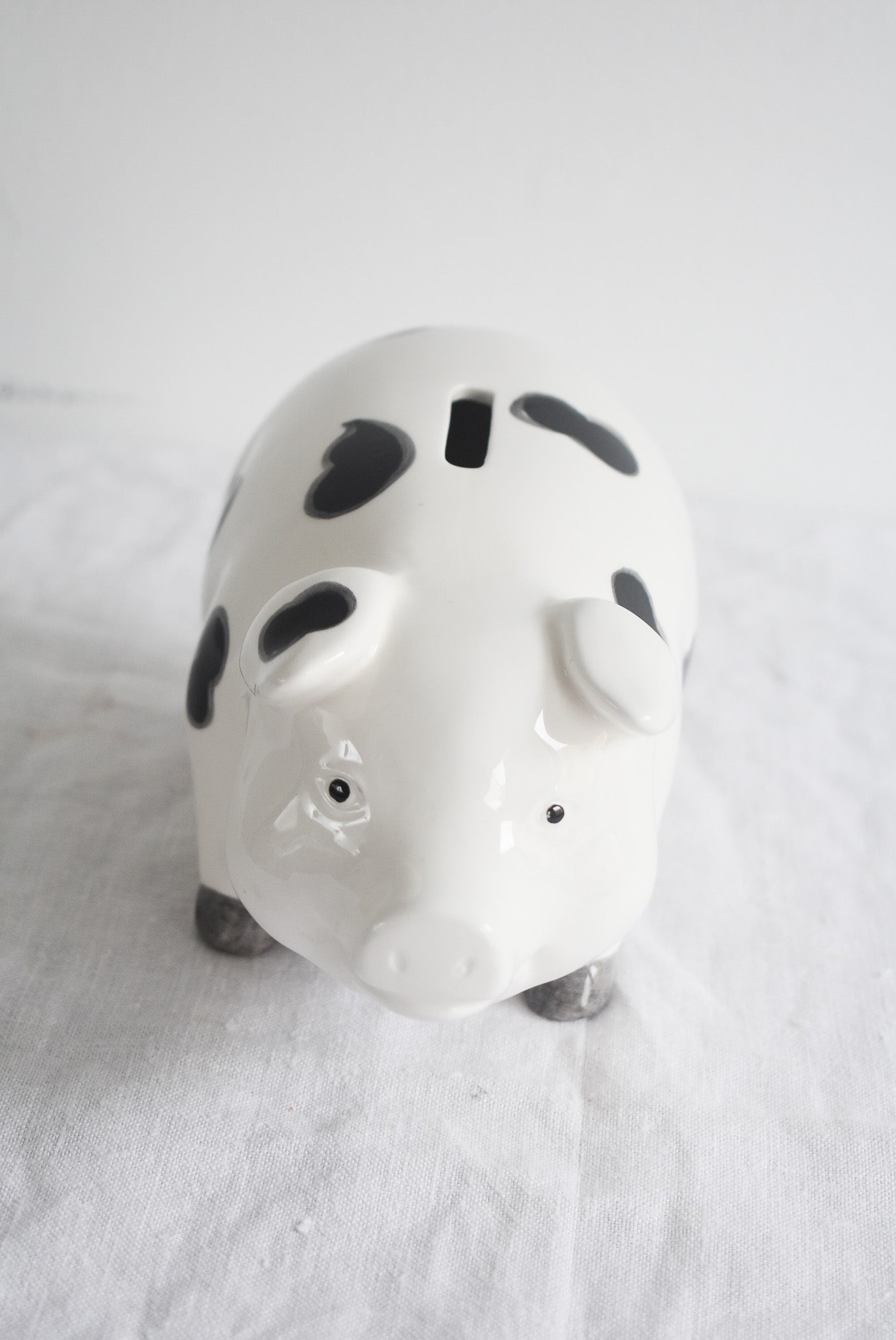 Cute cow piggy bank