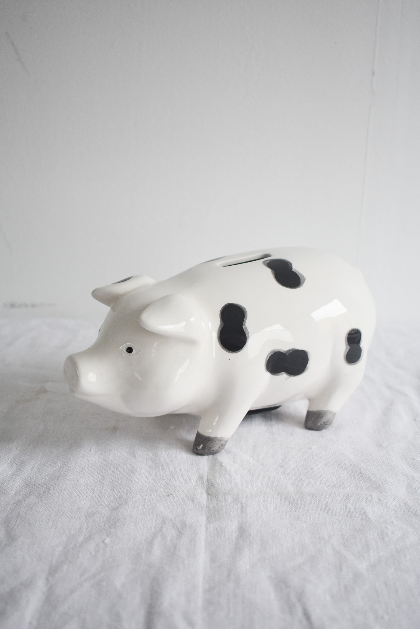 Cute cow piggy bank