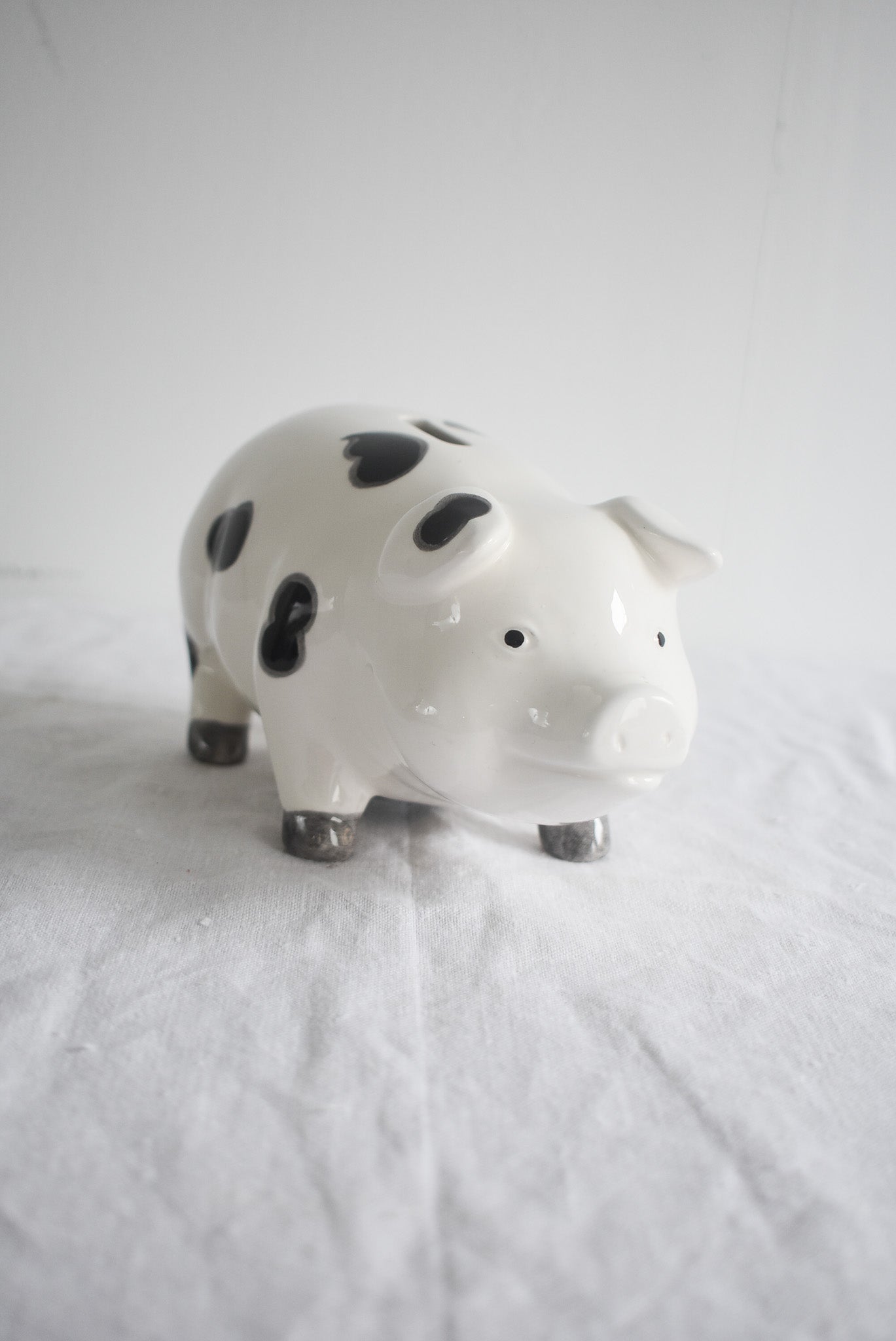 Cute cow piggy bank