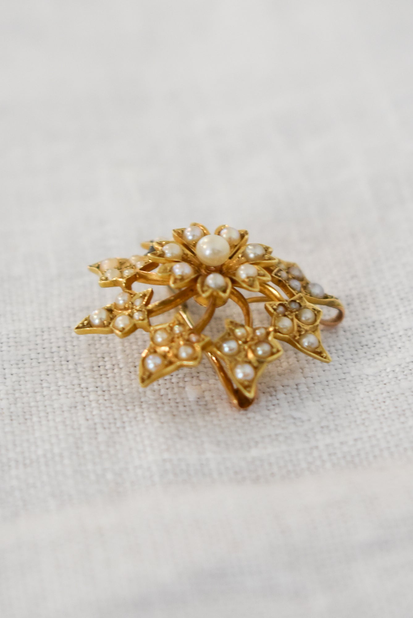 14kt gold and pearls brooch