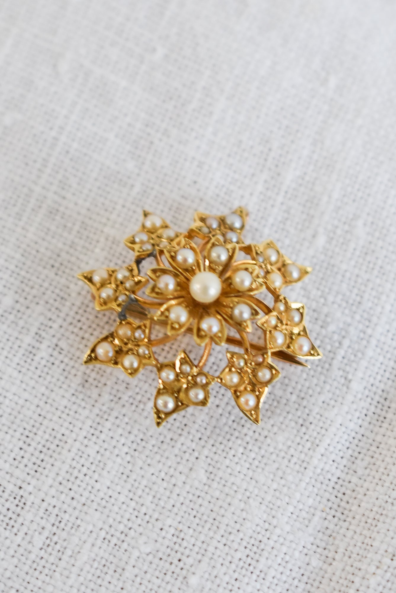 14kt gold and pearls brooch