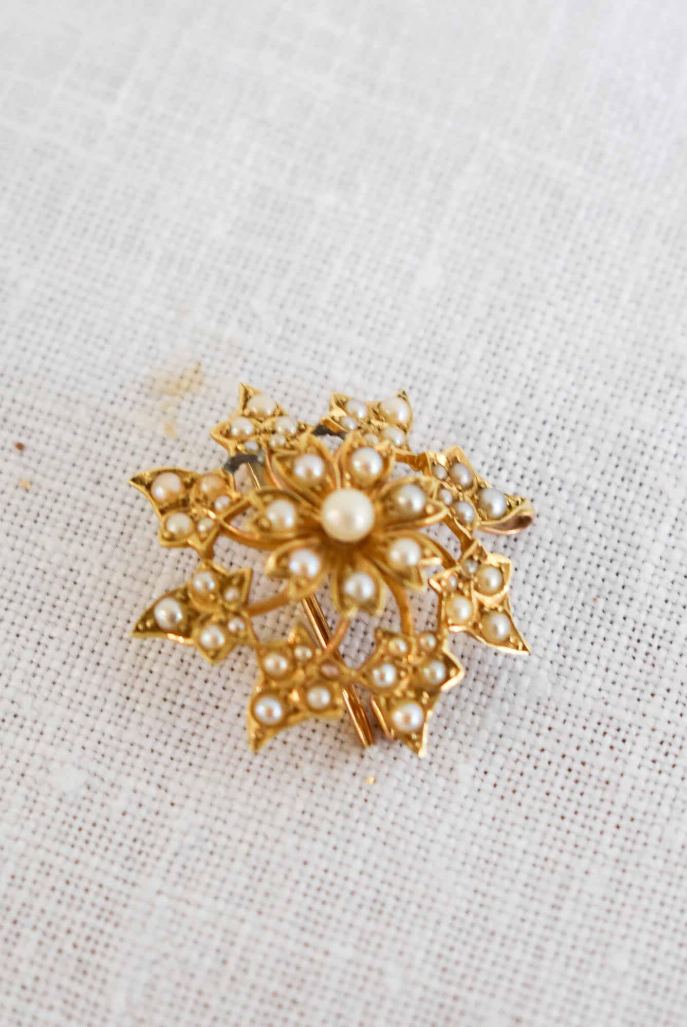 14kt gold and pearls brooch