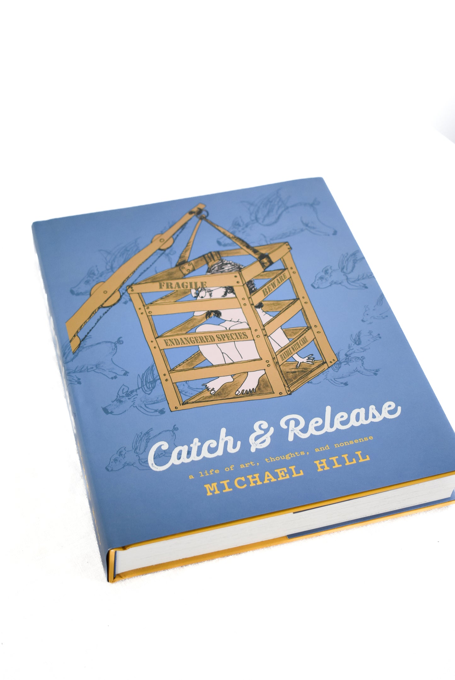 Catch And Release: A Life of Art Thoughts and Nonsense by Michael Hill