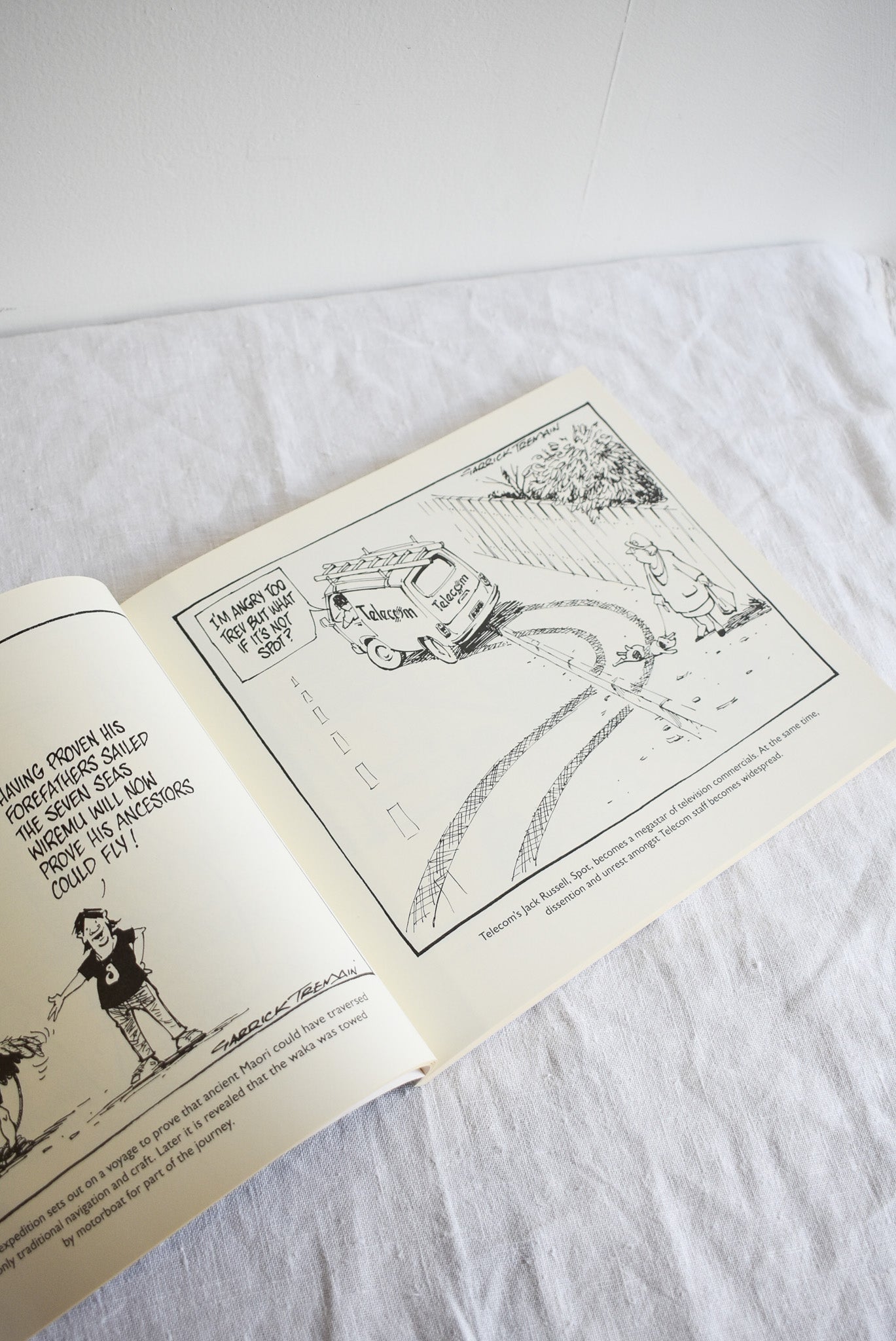 20 years of Garrick Tremain "Politics from the pen of a leading cartoonist"