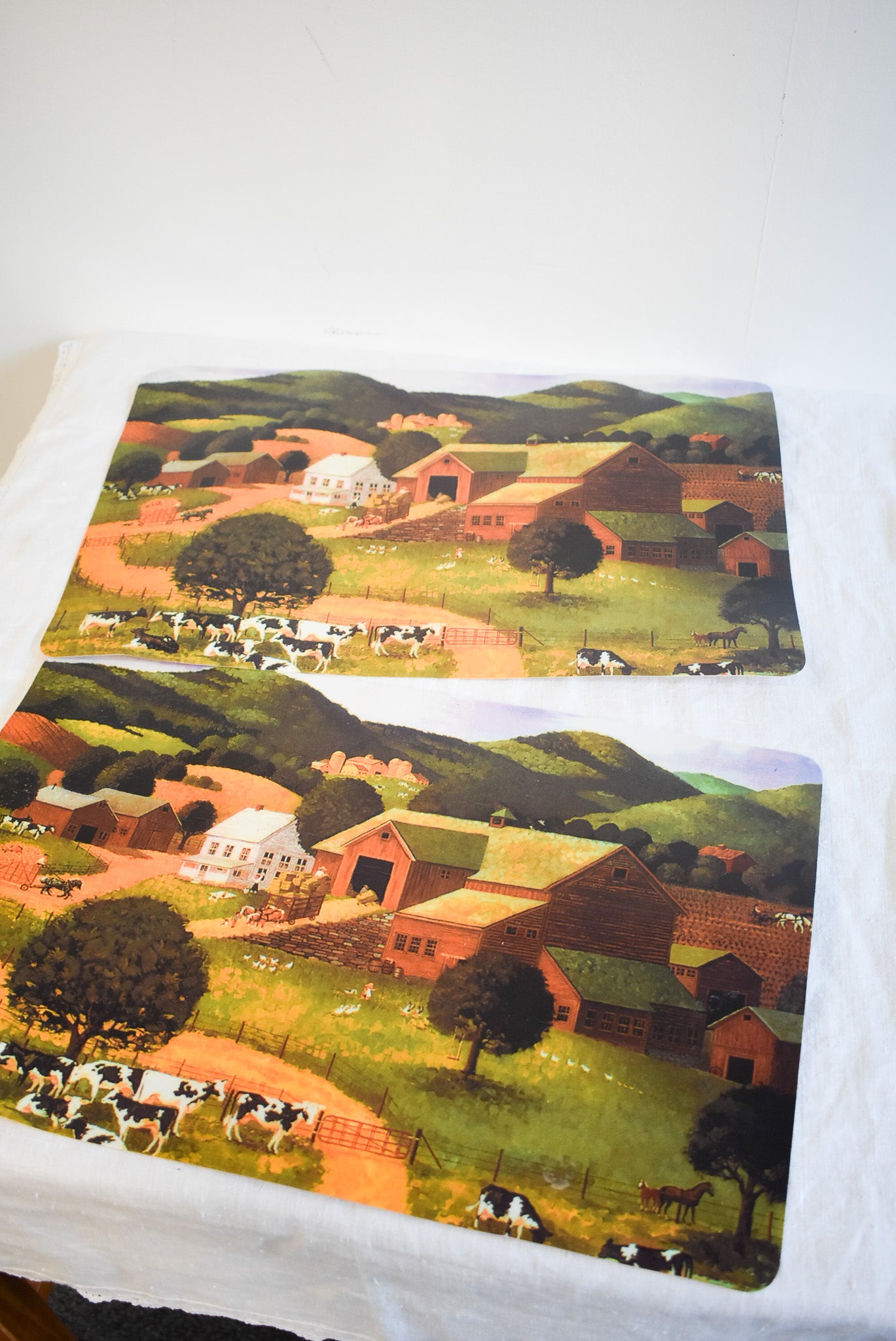 Retro farmlands placemats x2