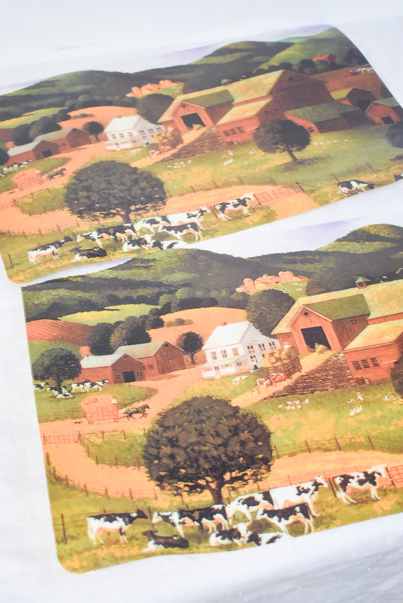 Retro farmlands placemats x2