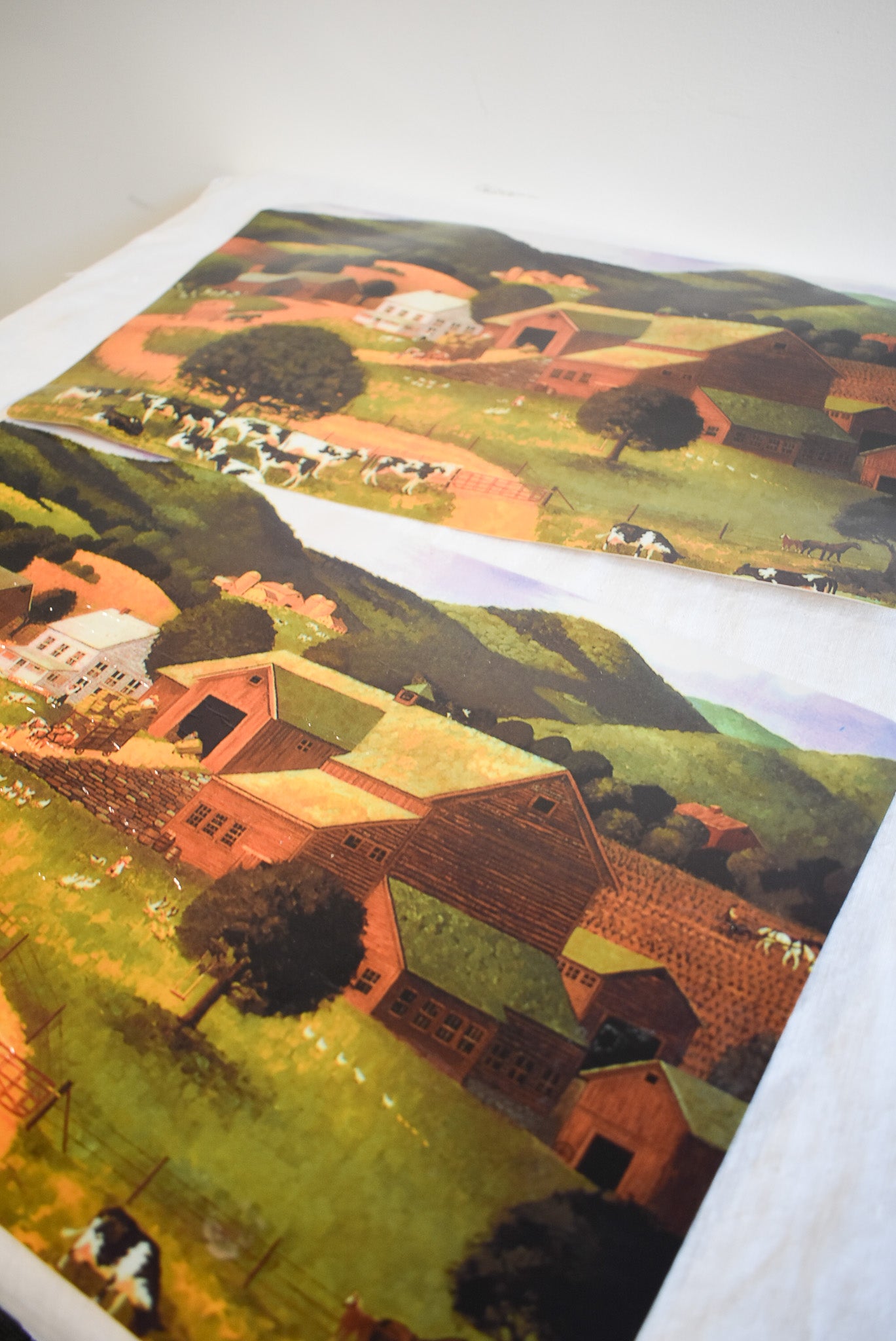 Retro farmlands placemats x2