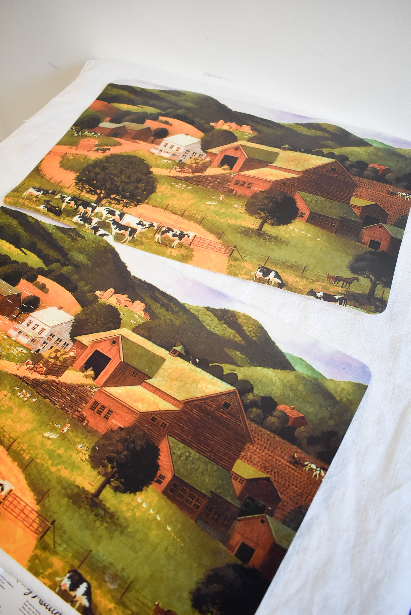 Retro farmlands placemats x2