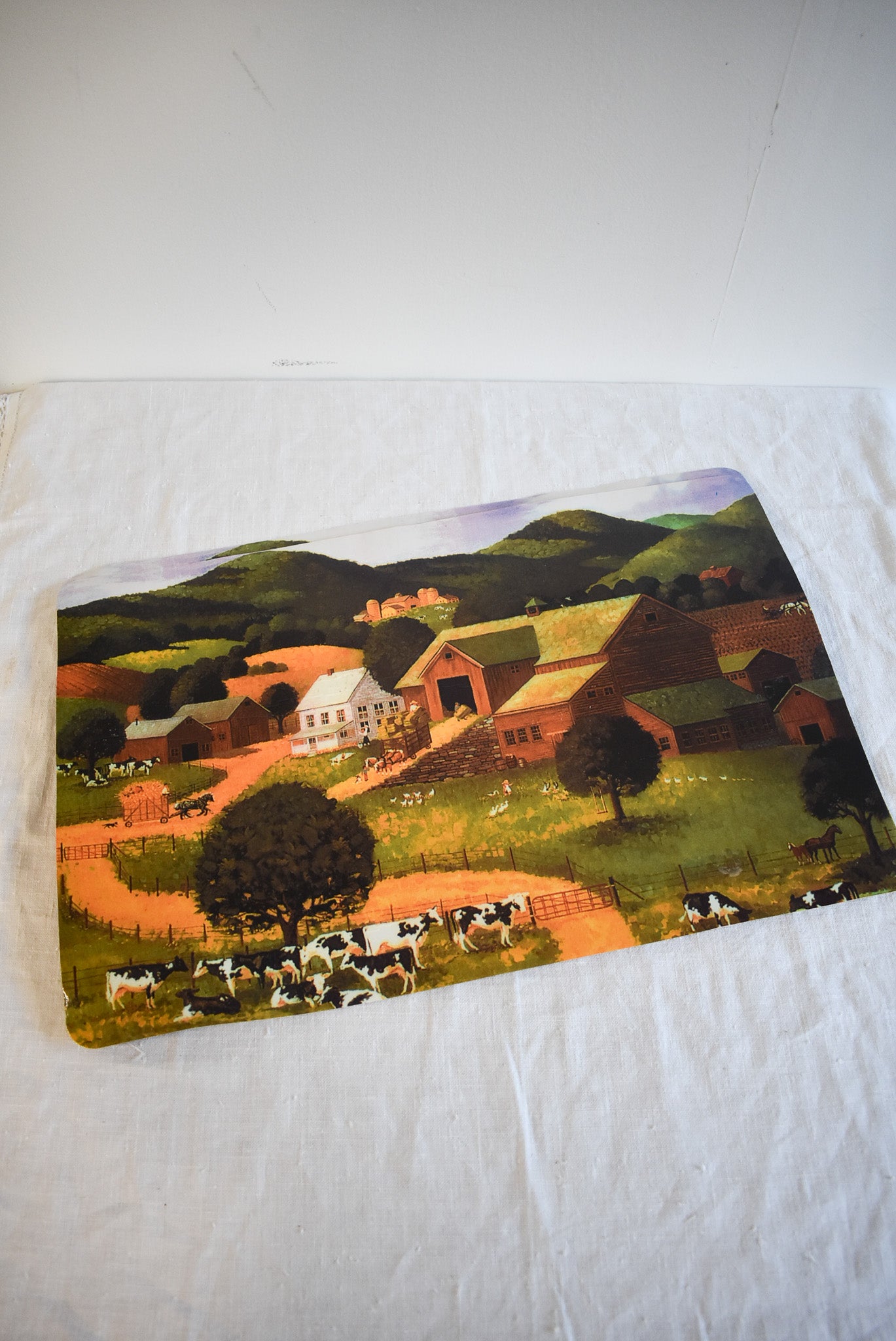 Retro farmlands placemats x2