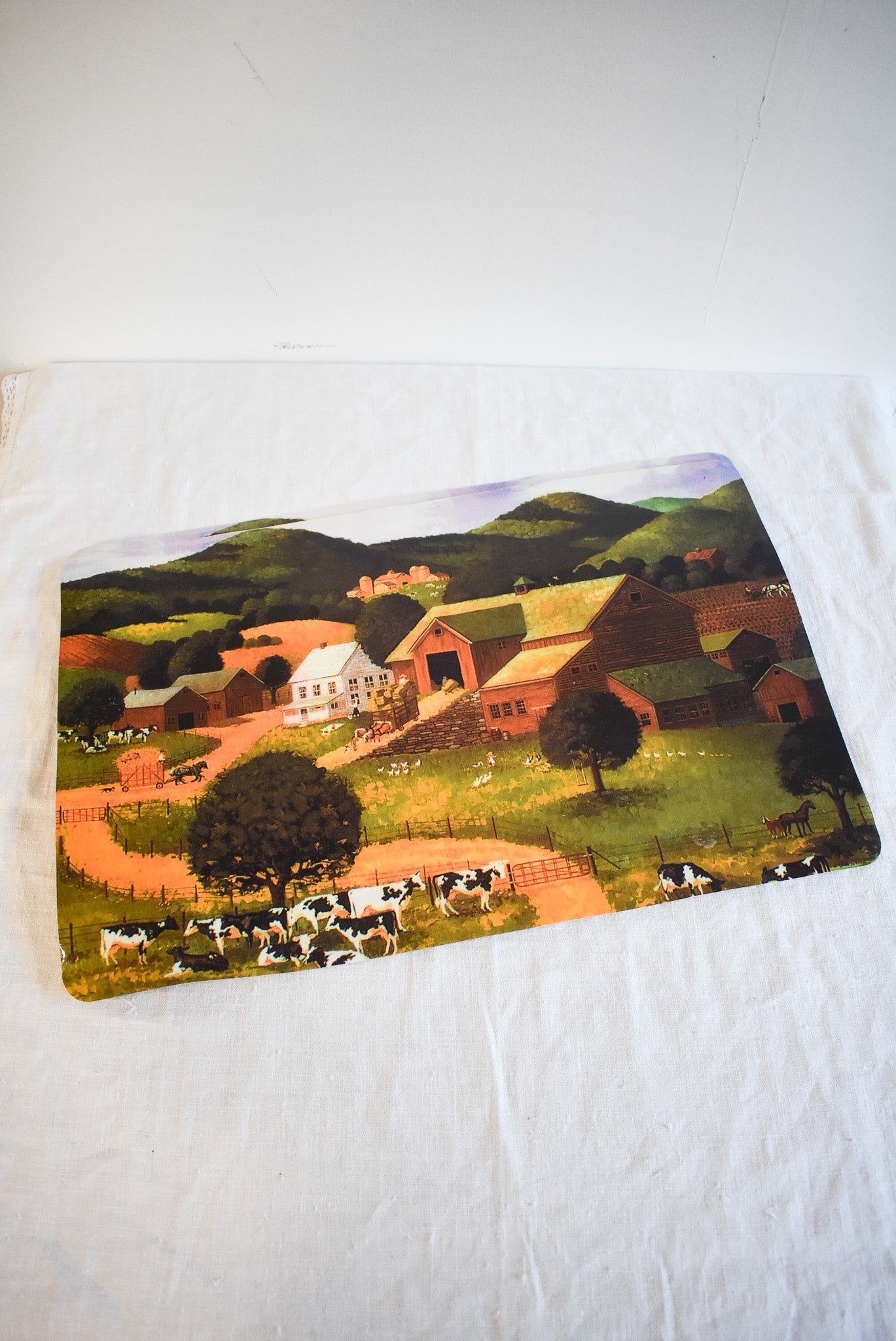 Retro farmlands placemats x2