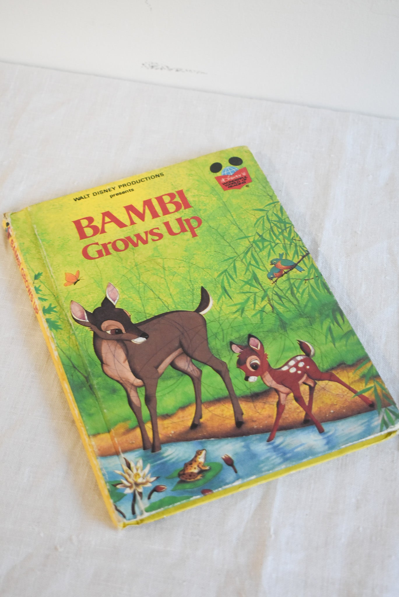 Bambi Grows Up + Frisky childrens book bundle