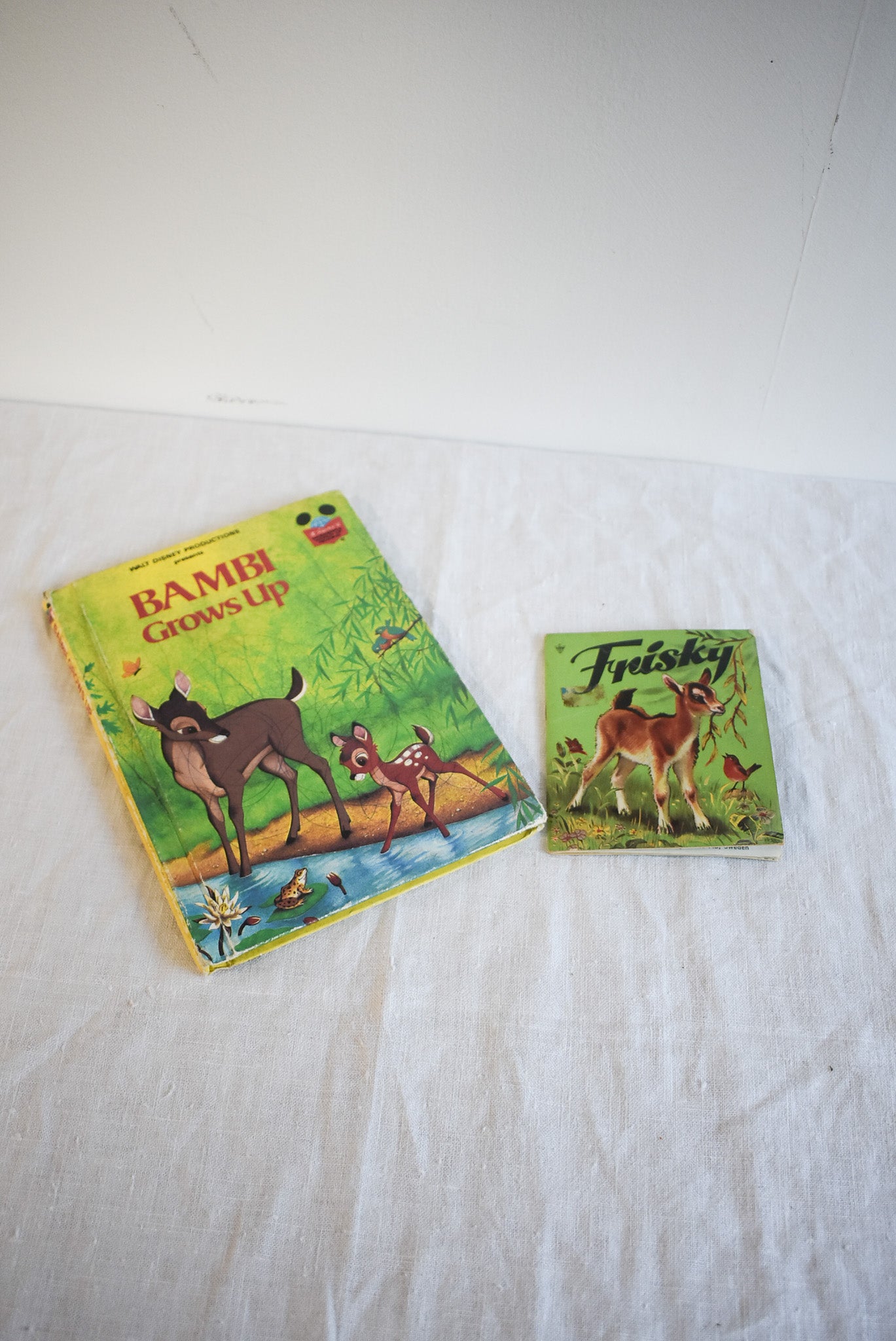 Bambi Grows Up + Frisky childrens book bundle