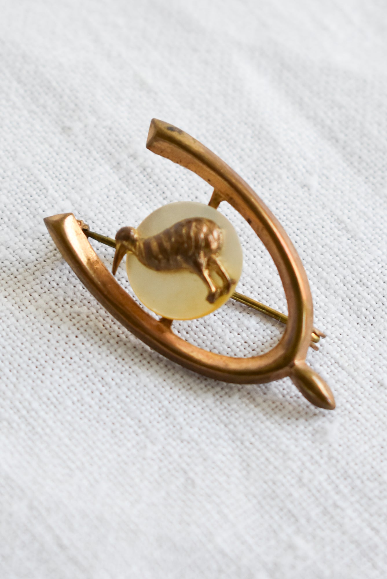 Unique Kiwiana brooch