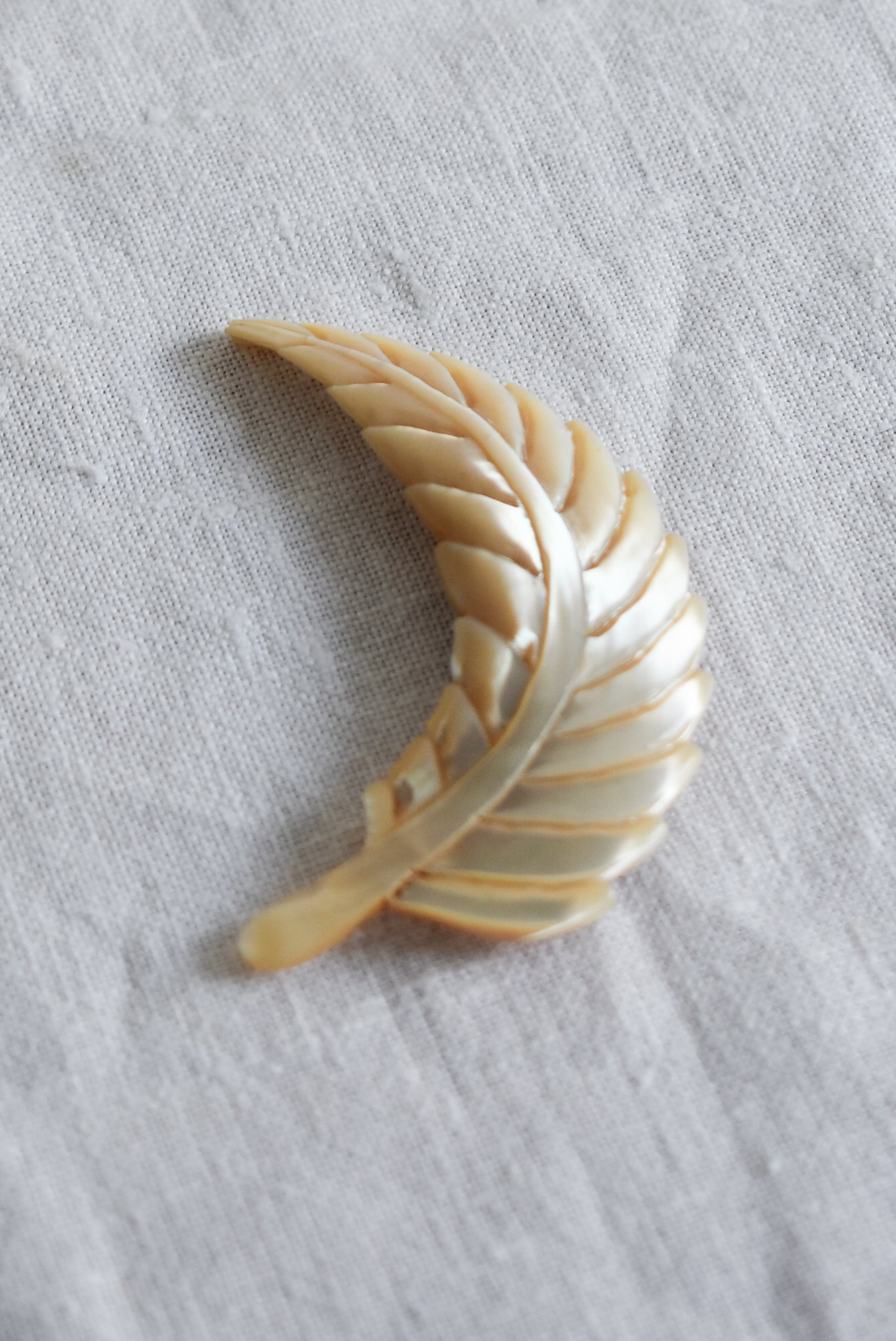 Mother of Pearl fern brooch