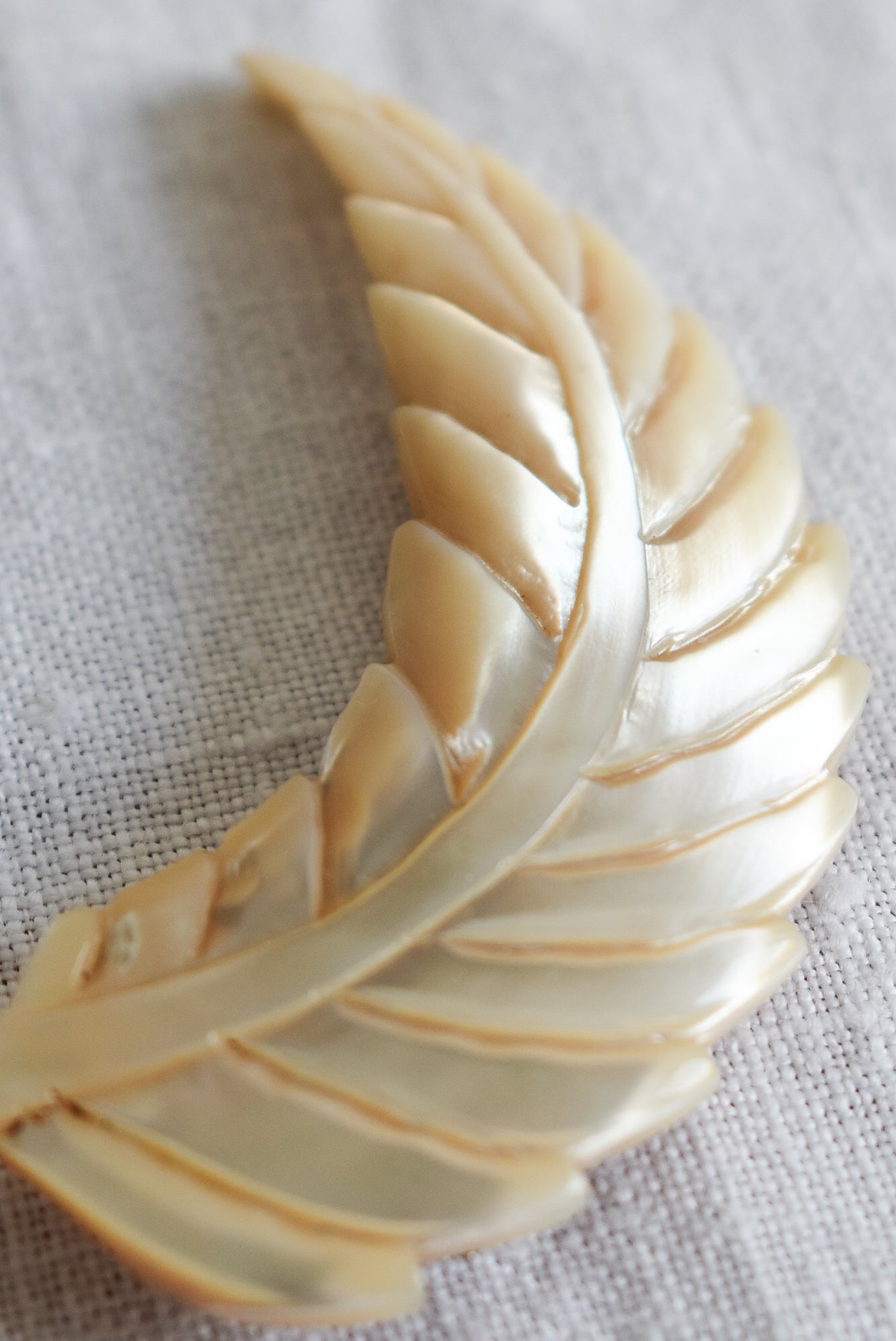 Mother of Pearl fern brooch